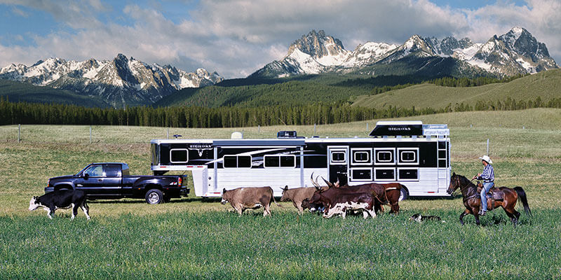 DGA Design Lakota Horse Trailer with Rancher and Cattle Photography