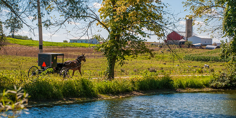 DGA Design Local Amish Buggy on Michiana Road Photography